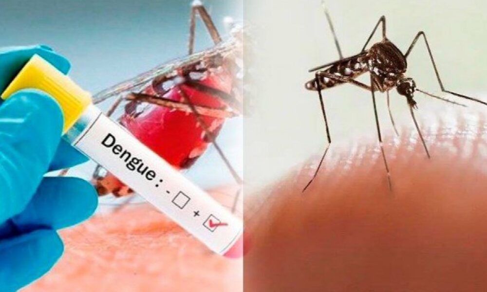 Dengue en 2026: las zonas más afectadas y cómo prevenirlo